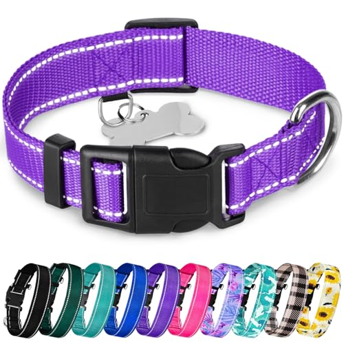 TECEUM Reflektierendes Haustierhalsband - Lila - L - Basic Nylon Hundehalsband - Schnellverschluss-Schnalle - Passend für kleine, mittelgroße und große Hunde, Welpen, Katzen - ESA & Diensthund von TECEUM