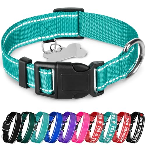 TECEUM Reflektierendes Hundehalsband - Blaugrün - L - Basic Nylon Haustier Halsband - Schnellverschluss-Schnalle - Passend für kleine, mittelgroße und große Hunde, Welpen, Katzen - ESA & Diensthund TECEUM Reflektierendes Hundehalsband - Blaugrün - L - Basic Nylon Haustier Halsband - Schnellverschluss-Schnalle - Passend für kleine, mittelgroße und große Hunde, Welpen, Katzen - ESA & Diensthund von TECEUM