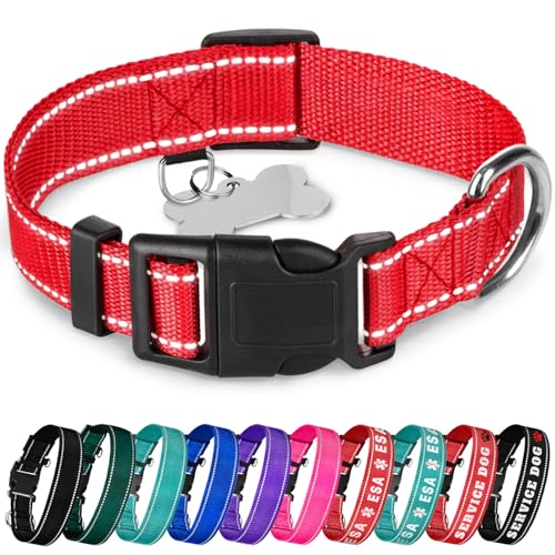 TECEUM Reflektierendes Hundehalsband - Rot - L - Basic Nylon Haustier Halsband - Schnellverschluss-Schnalle - Passend für kleine, mittelgroße und große Hunde, Welpen, Katzen - ESA & Diensthund TECEUM Reflektierendes Hundehalsband - Rot - L - Basic Nylon Haustier Halsband - Schnellverschluss-Schnalle - Passend für kleine, mittelgroße und große Hunde, Welpen, Katzen - ESA & Diensthund von TECEUM