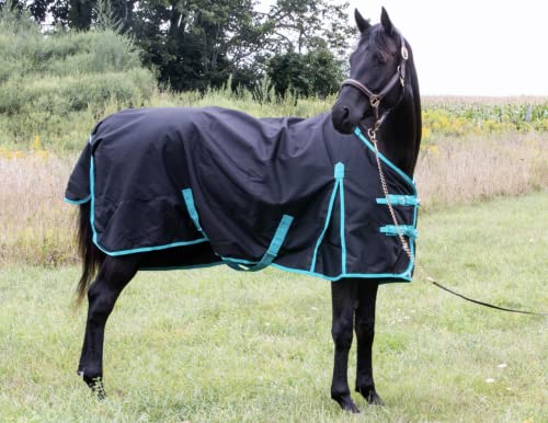 Pferde-Winterdecke 300 g/m², 600 Denier (wasserdicht/atmungsaktiv/schneefest) Pferdedecke | schwere Winterdecke (74, schwarz_mit_türkis_Besätze) von TECH EQUESTRIAN