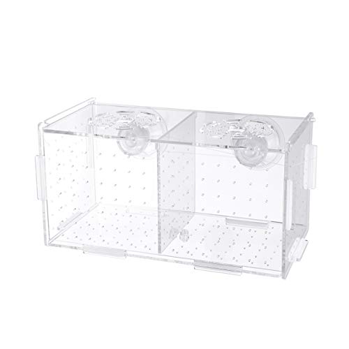 TEHAUX Aquarium Zubehör Transparente Aquarienzucht-Isolierbox Brutboxen Für Vivipare Fische Kampffische Guppys Medaka (Saugnapfmuster) Krebsreuse von TEHAUX