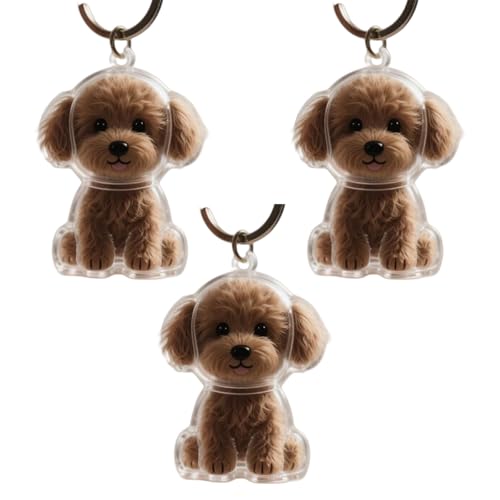 1. 2/3/4/5/10pcs Klarer PET Memorial Schlüsselbund Mit Speicherfach Für Katzen Hunde Liebhaber Sympathie Anhänger Pet Memorial Keepsakes Für Schlüssel 1. 2/3/4/5/10pcs Klarer PET Memorial Schlüsselbund Mit Speicherfach Für Katzen Hunde Liebhaber Sympathie Anhänger Pet Memorial Keepsakes Für Schlüssel von TEMOOUES