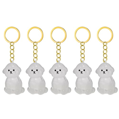 1. 2/3/4/5/10pcs Klarer PET Memorial Schlüsselbund Mit Speicherfach Für Katzen Hunde Liebhaber Sympathie Anhänger Pet Memorial Keepsakes Für Schlüssel 1. 2/3/4/5/10pcs Klarer PET Memorial Schlüsselbund Mit Speicherfach Für Katzen Hunde Liebhaber Sympathie Anhänger Pet Memorial Keepsakes Für Schlüssel von TEMOOUES