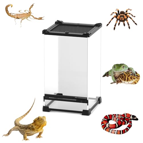 TEMU-SC Glas Reptile Terrarium Box, Reptile Food Box, Portable Habitat for Reptiles and Amphibians, Suitable for Spiders, Lizards, Frogs, Scorpions, Barbecues, Geckos(20 * 20 * 30cm) von TEMU-SC