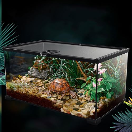 TEMU-SC Glas Reptile Terrarium Box, Reptile Food Box, Portable Habitat for Reptiles and Amphibians, Suitable for Spiders, Lizards, Frogs, Scorpions, Barbecues, Geckos(30 * 20 * 15cm) von TEMU-SC