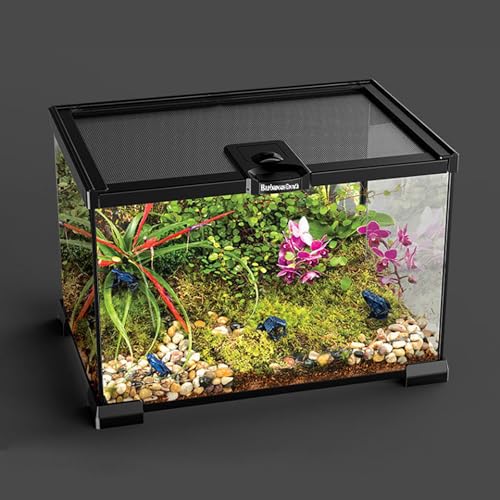 TEMU-SC Glas Reptile Terrarium Box, Reptile Food Box, Portable Habitat for Reptiles and Amphibians, Suitable for Spiders, Lizards, Frogs, Scorpions, Barbecues, Geckos(50 * 30 * 15cm) von TEMU-SC