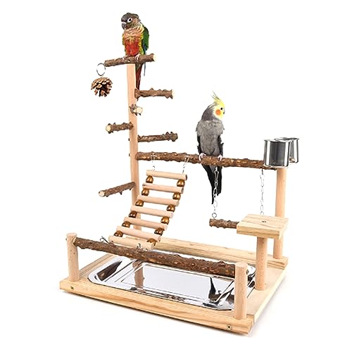 TENCOCO Spielständer für Papageien, für Papageien, Vögel, Spielständer, Sitzstange, Leiter mit Futterplatte aus Stahl von TENCOCO