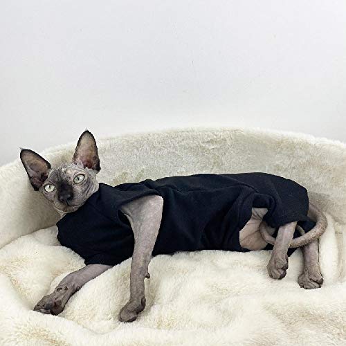 TENGTUD Katzenkleidung für Sphynx Hairless Cat, Herbst und Winter Soft and Warm Base Shirt-M_Schwarz (Vier Fuß niedriger Kragen) von TENGTUD