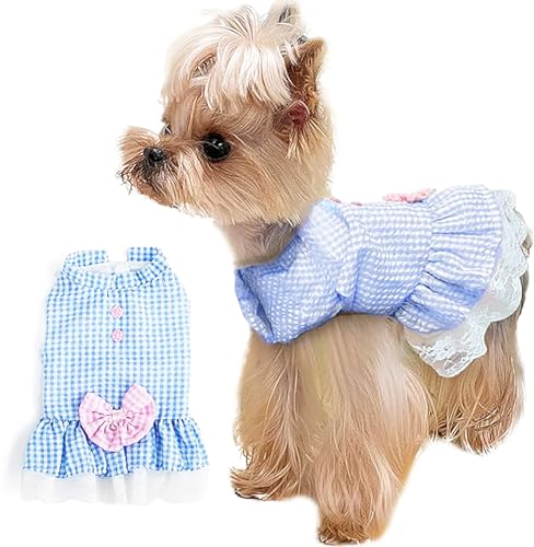 TENGZHI Plaid Hundekleid mit Schleife, Sommerkleid, ärmellos, weich, atmungsaktiv, Spitze, Prinzessin, Welpenkleid, niedliche Katze, mittelgroße Hunde und Mädchen (blau, XXL) von TENGZHI