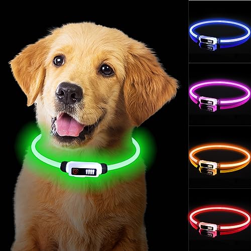 TENXSNUG Leuchthalsband Hund, LED Hundehalsband Leuchtend Type-C Aufladbar Wasserdichtes, Sicherheit bei Nacht Einstellbar Hundehalsband 3 Beleuchtungsmodi für Kleine Mittlere Große Hunde, Grün von TENXSNUG