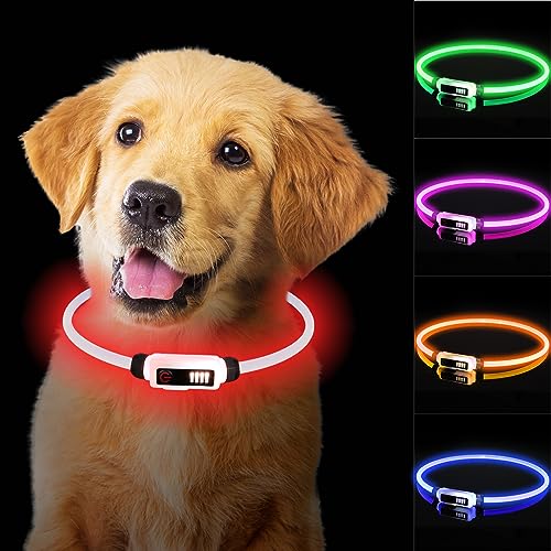 TENXSNUG Leuchthalsband Hund, LED Hundehalsband Leuchtend Type-C Aufladbar Wasserdichtes, Sicherheit bei Nacht Einstellbar Hundehalsband 3 Beleuchtungsmodi für Kleine Mittlere Große Hunde, Rot von TENXSNUG