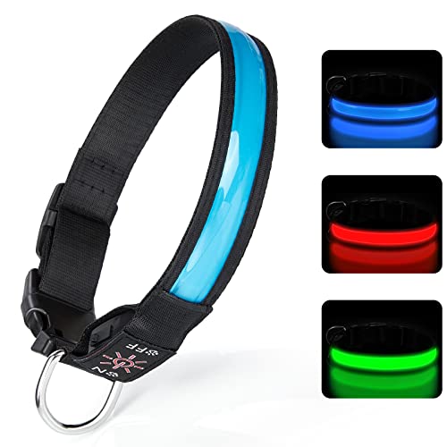 TENXSNUG Leuchthalsband Hund USB Aufladbar, Einstellbares LED Hundehalsband Leuchtend mit 3 Leuchtmodi für Kleine, Mittlere und Große Hunde, die Nachts Sicher Spazieren Gehen - Blau - L von TENXSNUG