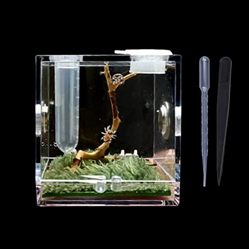 Kleine Reptilien Zuchtbox Klar Acryl Käfig Lebensraum Futterbox Terrarium für Tank Ausbruchsicher zum Springen Zucht Futterbox von TERNCOEW