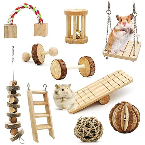 TERNCOEW Kauspielzeug-Set zum Zähneknirschen, Holzblöcke, Leiter für kleine Haustiere, Hamster, Meerschweinchen, Rennmäuse, Kauspielzeug zum Zähneknirschen von TERNCOEW