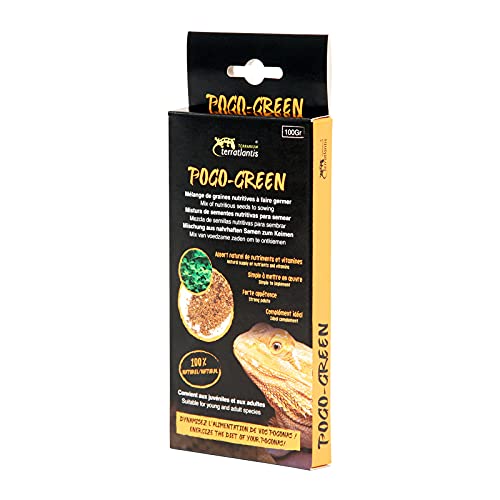 TERRATLANTIS POGO - Green 100gr von TERRATLANTIS