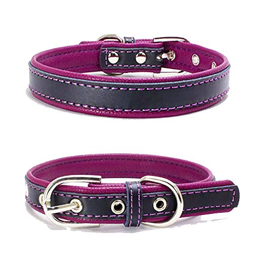 TFENG Hundehalsband, Verstellbarer Lederhalsband Basic Bling Halsbänder für Katzen und Hunde(Lila,XL) von TFENG