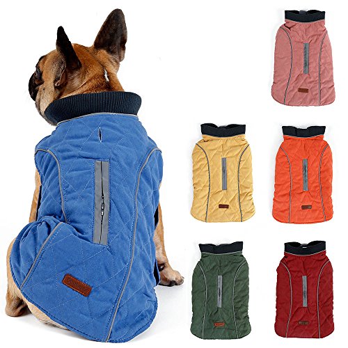 TFENG Reflektierend Hundejacke Brust 32-38cm, Rückenlänge 23cm Hundemantel Warm gepolstert Puffer Weste Welpen Regenmantel mit Fleece (Blau, XS) von TFENG