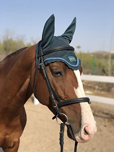 TGW RIDING Pferd Ohr Haube Netz Hut Pferd Kapuze Maske Pferde Schleier Pferd Ohr Haube (Pony, Türkis) von TGW RIDING