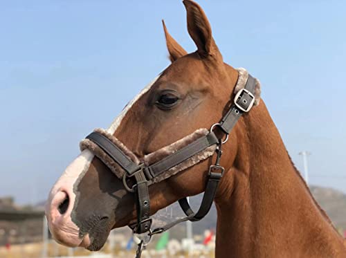 TGW RIDING Pferdehalfter mit abnehmbarem Kunstfellband (Dunkelgrau, P2/Pony) von TGW RIDING