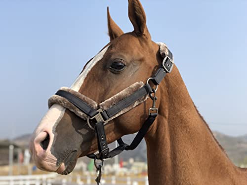 TGW RIDING Pferdehalfter mit abnehmbarem Kunstfellband (Dunkelschwarz, P1/kleines Pony) von TGW RIDING