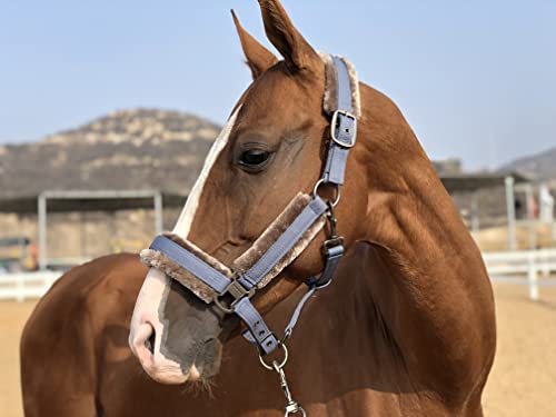 TGW RIDING Pferdehalfter mit abnehmbarem Kunstfellband (Rauchblau, P2/Pony) von TGW RIDING