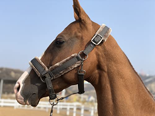 TGW RIDING Pferdehalfter mit abnehmbarem Kunstfellband (dunkelgrau, P1/kleines Pony) von TGW RIDING