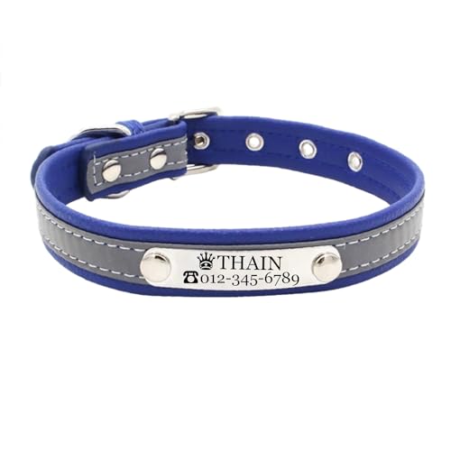 THAIN Custom Hundehalsband – Personalisierte Gravur ID Halsbänder mit Namensschild – reflektierend Hunde Hund Katze Halsband (Blau, L) von THAIN