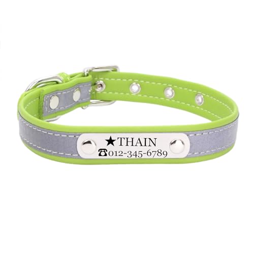 THAIN Custom Hundehalsband – Personalisierte Gravur ID Halsbänder mit Namensschild – reflektierend Hunde Hund Katze Halsband (Grün, L) von THAIN