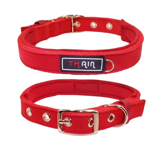 THAIN Hundehalsband, 5 Löcher, goldfarbene Metallschnalle, weiches, bequemes Baumwollgewebe mit Neoprenfutter, passend für kleine, mittelgroße und große Hunde (Rot, L) von THAIN