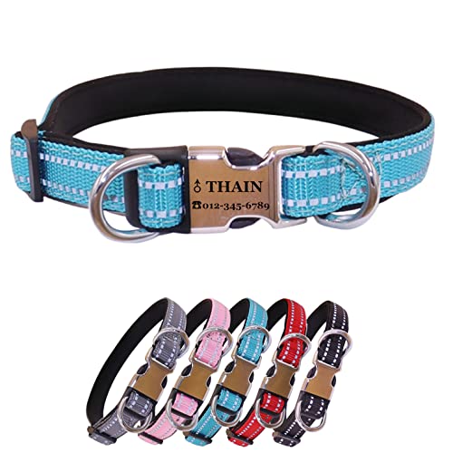 THAIN Reflektierendes, personalisiertes Hundehalsband mit individueller Schnalle und Gravur – weiches Nylon-Haustierhalsband mit Namensschild mit eingraviertem Namen und Telefonnummer (Hellblau, M) von THAIN