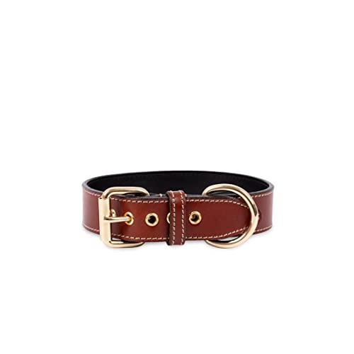 Hundehalsband. Hundehalsband aus Leder. Lederhalsband für Hunde Metallic-Accessoires. Handgefertigt. (S (25'5-31'5cm), Braun) von THE NOTCH