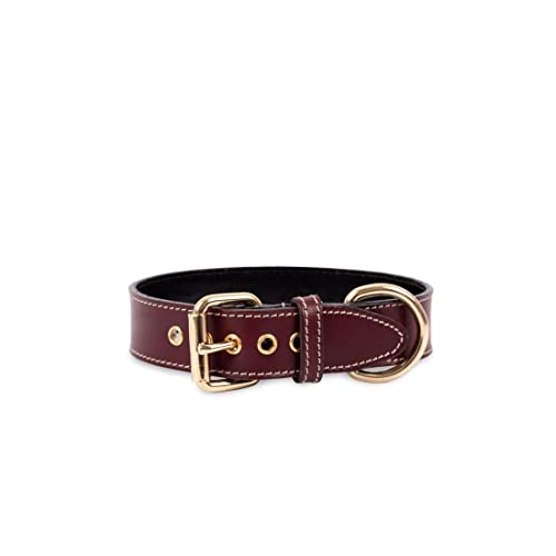 Hundehalsband. Hundehalsband aus Leder. Lederhalsband für Hunde Metallic-Accessoires. Handgefertigt. (XL (43'5-53cm), Bordeaux) von THE NOTCH