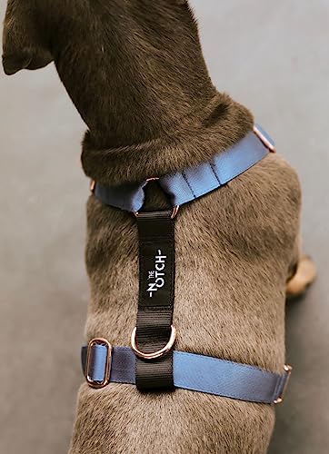 Neu. Recyceltes Polyester Sehr Strapazierfähiges Hundegeschirr Großer Mittelgroßer Hund Kleines Geschirr Brust Anti-Ziehen Komfortable Sehr Verstellbare Weste (M - Bauch (41-70 cm) Hals/Hals (38-59 von THE NOTCH