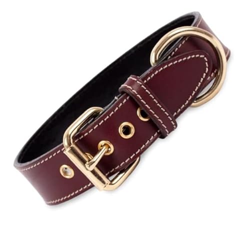 Hundehalsband Leder Hundehalsband Leder Hundehalsband Metall Zubehör Handmade The Notch Brand (XXS (19-22cm), Bordeaux) von THE NOTCH