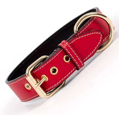 Hundehalsband, Lederhalsband für Hunde, Lederhalsband für Hunde, Metallzubehör, handgefertigt, The Notch Brand (XXS (19-22 cm), Rot) von THE NOTCH