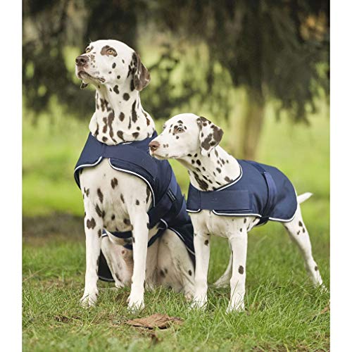 THERMOSTAR WALDHAUSEN Regen-Hundedecke, Marine, 55 cm von Waldhausen