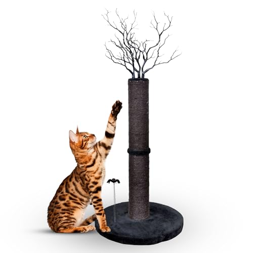 Schwarzer Katzenkratzbaum - 94 cm niedlicher Katzenkratzbaum mit strapazierfähigem Sisal, gruseligem Baum-Design & Spinnen-Gothic-Katzenspielzeug für Indoor-Katzen von THROONI