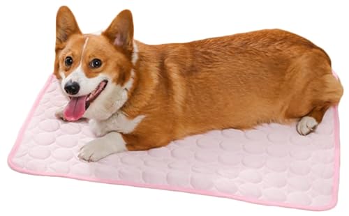 Kühlmatte for Hunde, 2025 Neue Kühlmatte for Hunde, Kühlmatten for Haustiere Waschbar Tragbar Kühlpad for Haustiere for Den Außenbereich for Hunde Und Katzen for Zuhause Und Draußen(Pink,XX-Large) Kühlmatte for Hunde, 2025 Neue Kühlmatte for Hunde, Kühlmatten for Haustiere Waschbar Tragbar Kühlpad for Haustiere for Den Außenbereich for Hunde Und Katzen for Zuhause Und Draußen(Pink,XX-Large) von THUCHENYUC