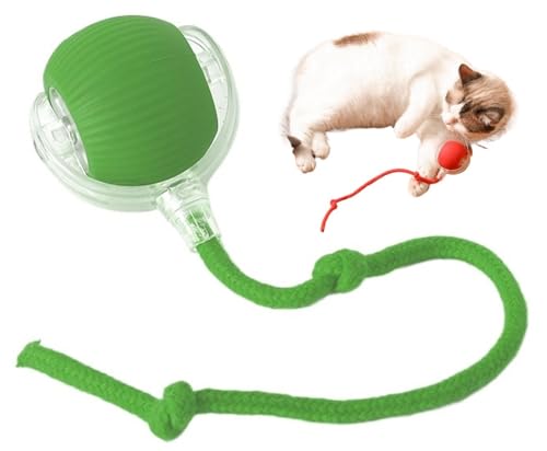 THUCHENYUC Chewy Viral Dog Ball, Interactive Rolling Dog Ball Chewy Viral Rolling Ball 360° Smart Automatic Rolling Pet Ball Electric Dog Ball Toy Interactive Cat Ball Toy(Green) von THUCHENYUC