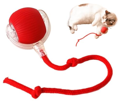 THUCHENYUC Chewy Viral Dog Ball, Interactive Rolling Dog Ball Chewy Viral Rolling Ball 360° Smart Automatic Rolling Pet Ball Electric Dog Ball Toy Interactive Cat Ball Toy(Red) von THUCHENYUC