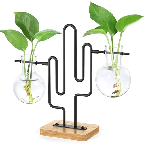 THYGIFTREE Desktop-Glas-Pflanzgefäß, Blumenzwiebelvase mit Metall-Kaktus-Retro-Holzständer, Pflanzen-Terrarium, Hydrokultur-Anzuchtstationen für Zuhause, Küche, Büro, Dekor von THYGIFTREE