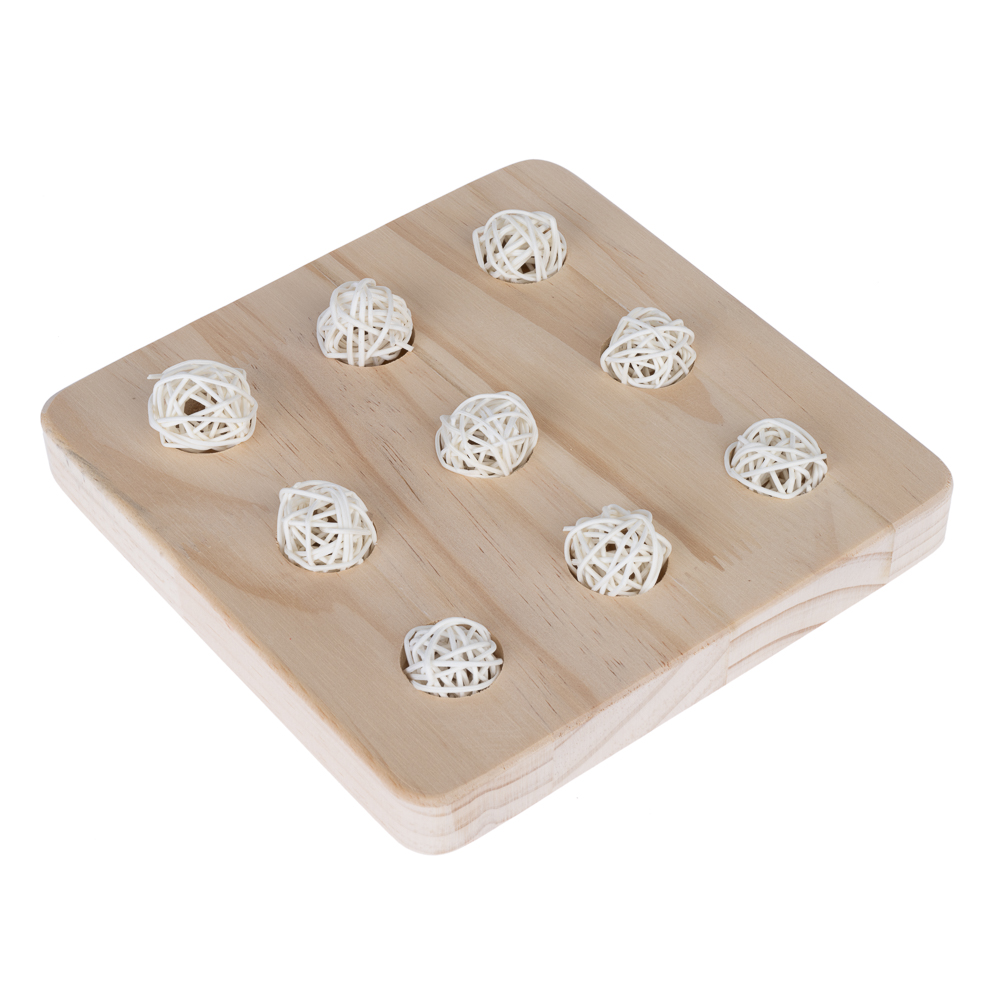 TIAKI Intelligenzspielzeug Food Board - L 20 x B 20 x H 2,5 cm von TIAKI