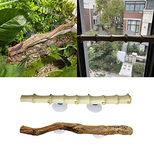 TIANQUXNGI Aquarium Kletterranke Terrarium Pflanze Fische zur Dekoration mit Saugnapf für Amphibienschlange von TIANQUXNGI