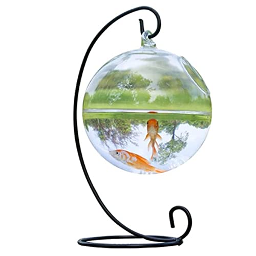 TIANQUXNGI Transparentes kugelförmiges Glas, handgefertigt, Fisch für runde Form, hängendes Glas-Aquarium, Fischschale, klare Pflanze, Terrarium, Gi von TIANQUXNGI