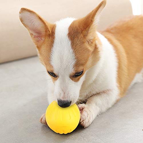 TIKATARER Unzerstörbarer Hundeball, Bissfester Spielzeugball für Hunde, Welpen, Katzen, Hundeleckerliball, Hundefutter, Leckerli-Futterspender, Leckerliball für Hunde, Übungsspiel, von TIKATARER