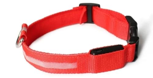 TINA&CO® Verstellbares Halsband mit LED-Licht, für Haustiere | (rot, S) von TINA&CO