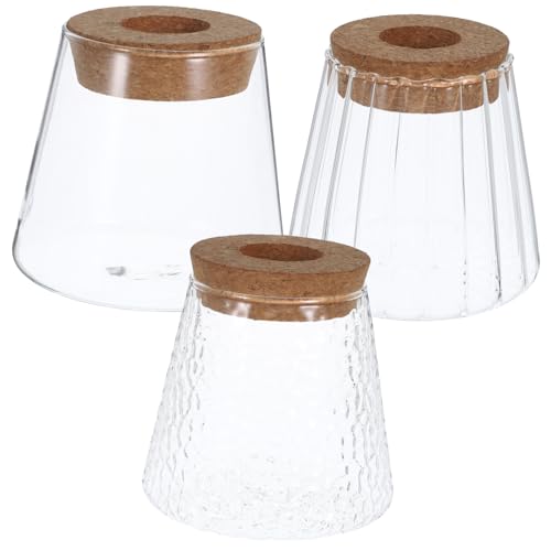 TINEASUR 3 Stück Hydrokultur Pflanzflaschentöpfe Hydrokultur Vase Pflanzenvase Für Den Innenbereich Zum Vermehren Von Pflanzen Terrarium Dekoration Glas Terrarienpflanze Terrarium von TINEASUR