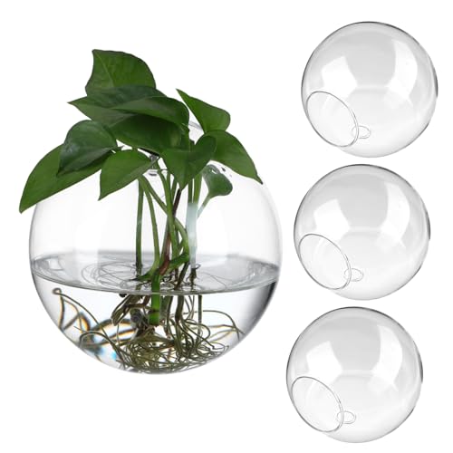 TINEASUR Pflanzgefäß Zum Aufhängen An Der Terrarium 4 Stück Glas Anzuchtstation Wasserpflanzenhalter Elegante Wanddekoration von TINEASUR