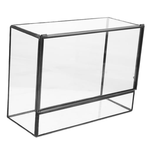 TINEASUR Kasten Glas-landschaftstank Terrarienmoos Landschaftsbehälter DIY-Terrarium Ökologische Flasche Saftiges Terrarium Glasterrarien Für Pflanzen Pflanzenterrarium Terrarienglas Zinn von TINEASUR