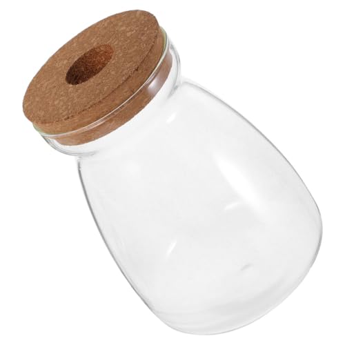 TINEASUR Mikro Landschaftsflasche Terrarienpflanzen Vasen Topf Desktop Pflanzenglas Hydrokultur Pflanzgefäß Vase Mit Holzdeckel Pflanzenvase Heimbüro Pflanzendekoration von TINEASUR